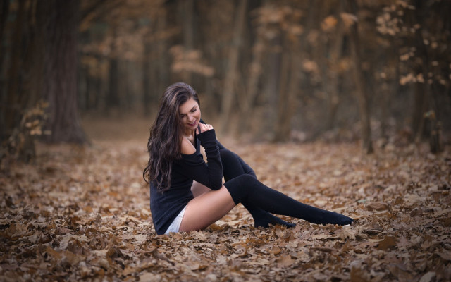 Woman forest sitting autumn blurry free wallpaper - medium preview image