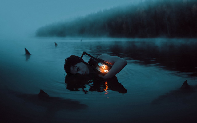 Floating water light forest surreal free wallpaper - medium preview image