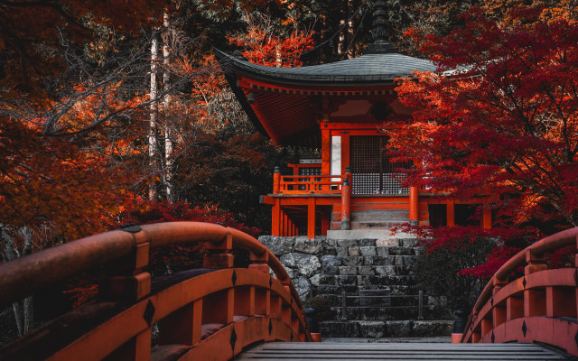 Red bridge pagoda autumn leaves free wallpaper - medium preview image