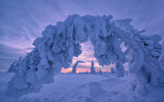 Snow arch winter pink sky free wallpaper - medium preview image
