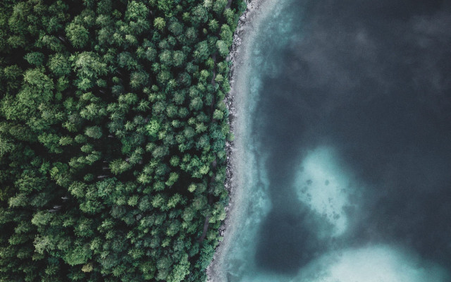 Water trees blue sky microscopic free wallpaper - medium preview image