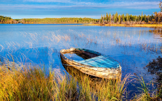Lake boat trees sky fireworks free wallpaper - medium preview image