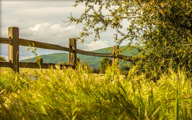 Wooden fence grassy field mountains #2 free wallpaper - medium preview image