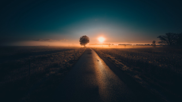 Sunrise foggy road tree berndfasching free wallpaper - medium preview image