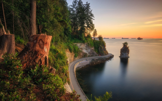 Long road forest water sunset free wallpaper - medium preview image
