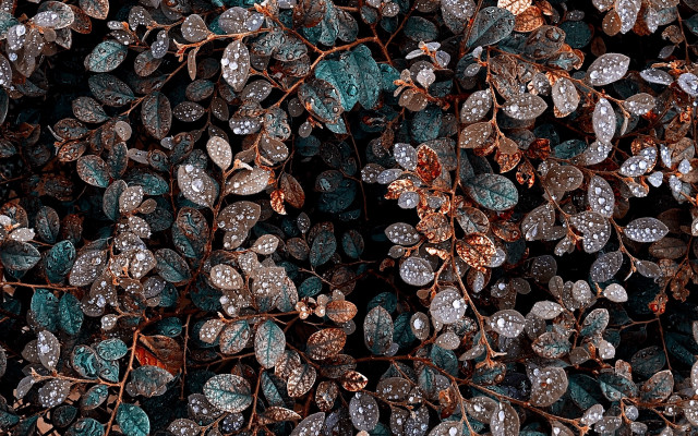 Ice leaves red stop pokemon free wallpaper - medium preview image