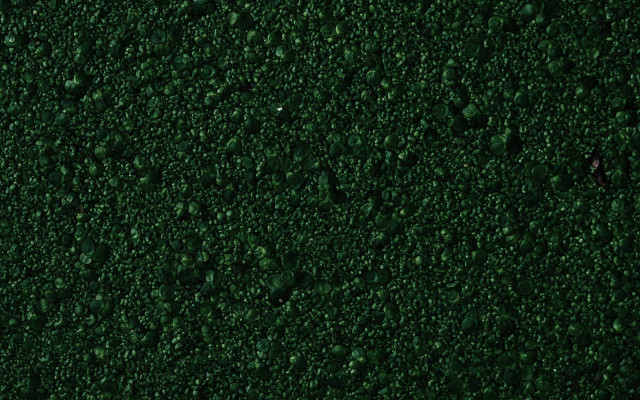 Green waterdroplets red object forest free wallpaper - medium preview image