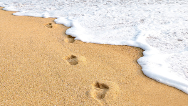Dionisius beach footprints wave surfboard free wallpaper - medium preview image