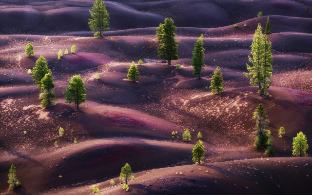 Trees purple hills blue sky free wallpaper - medium preview image