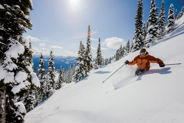 Skiing snowy mountain trees sun free wallpaper - medium preview image