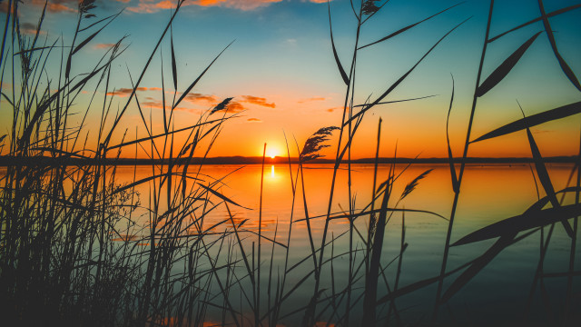 Sunset lake tallgrass orange sky #2 free wallpaper - medium preview image