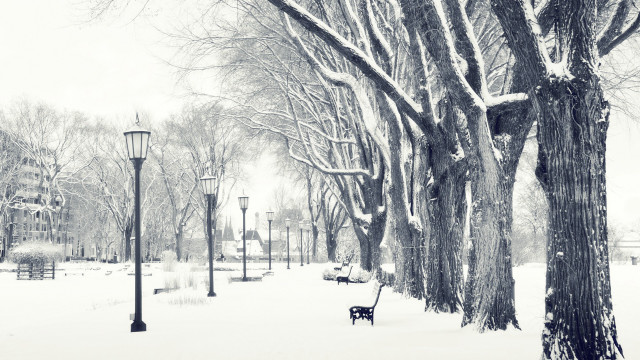 Snowy park bench street lamps free wallpaper - medium preview image