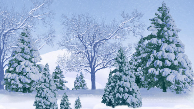 Snowy landscape forest winter branch free wallpaper - medium preview image