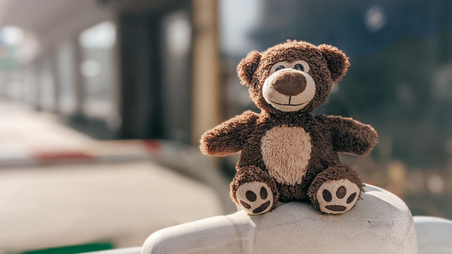 Teddy bear fence post building free wallpaper - medium preview image
