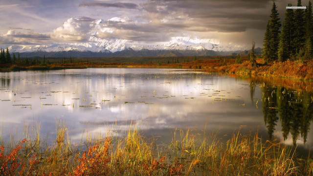 Lake grass trees mountains clouds free wallpaper - medium preview image