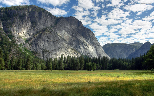 Mountain meadow trees blue sky #2 free wallpaper - medium preview image