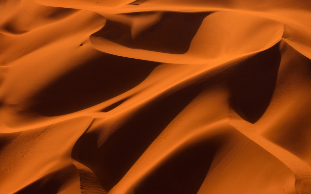 Desert sand dunes trees foreground free wallpaper - medium preview image