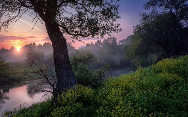 River tree foggy sunset plane free wallpaper - medium preview image