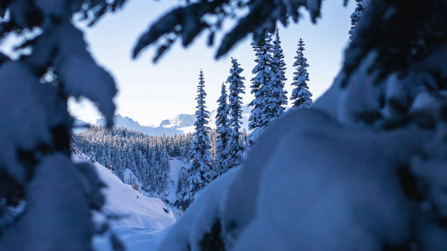 Snowy mountain forest sky blurry free wallpaper - medium preview image