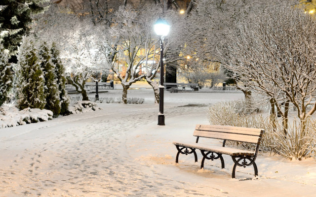 Bench snowy park night streetlight #10 free wallpaper - medium preview image