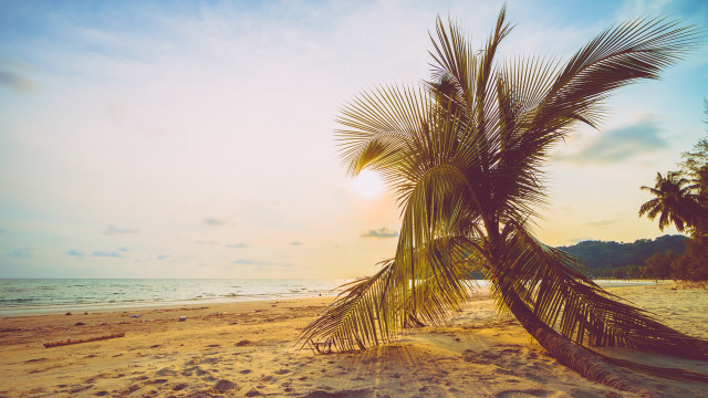 Palm beach sunset clouds ocean free wallpaper - medium preview image