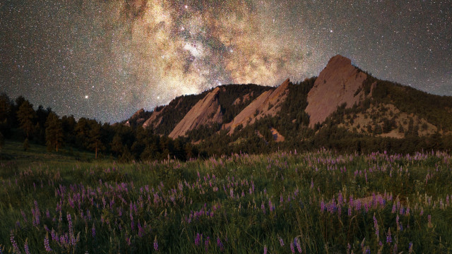 Mountain flower field starry night free wallpaper - medium preview image