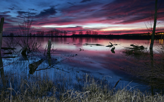 Sunset lake dead trees mystical free wallpaper - medium preview image