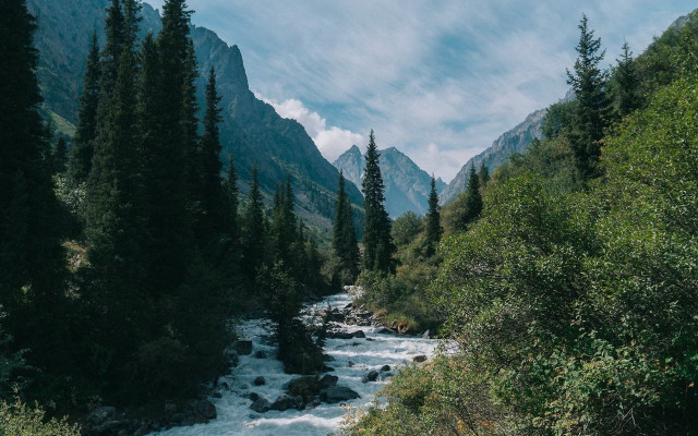 River forest rocks cloudy day #2 free wallpaper - medium preview image