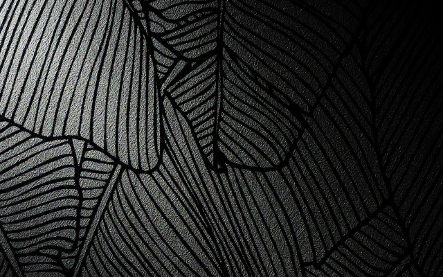 Black white leaf pattern wallpaper free wallpaper - medium preview image