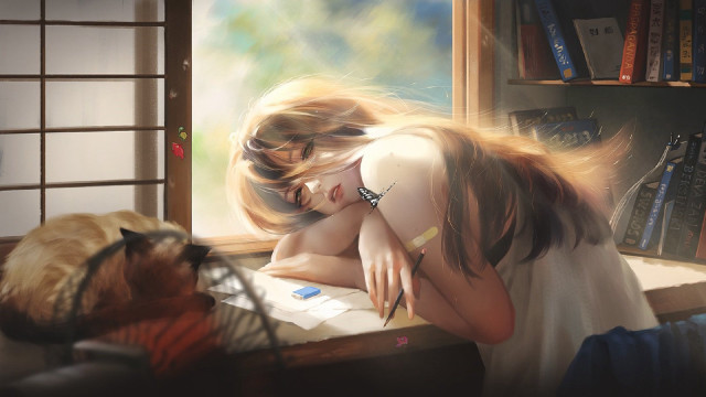 Woman window sill cat indoor free wallpaper - medium preview image