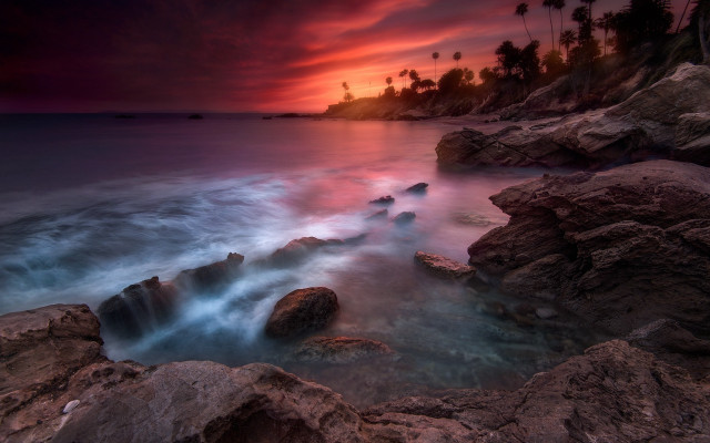 Sunset rocky beach palm trees free wallpaper - medium preview image