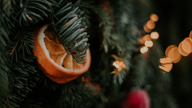 Christmas tree orange string lights free wallpaper - medium preview image