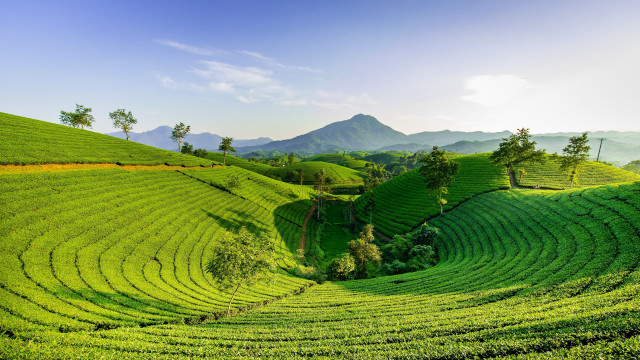 Green field mountain blue sky free wallpaper for desktop - medium preview image