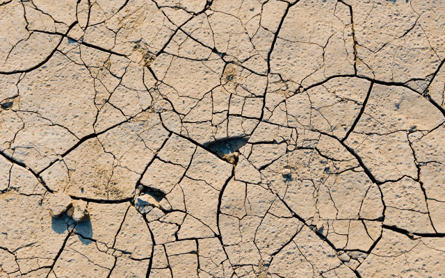 Cracked surface bird honeycomb fence free wallpaper - medium preview image