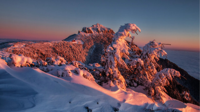 Mountain snow trees sky clouds #2 free wallpaper - medium preview image
