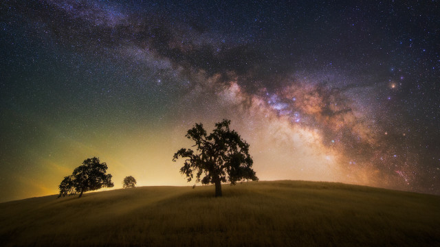 Field trees night sky stars free wallpaper - medium preview image