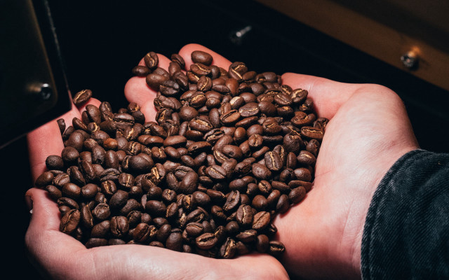 Coffee beans hands cell phone free wallpaper - medium preview image