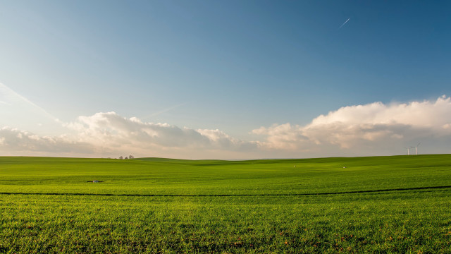 Green field clouds cows mountain free wallpaper - medium preview image