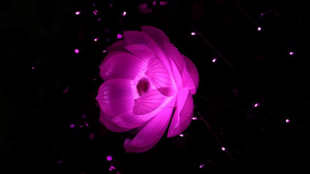 Large pink flower glowing hologram free wallpaper - medium preview image