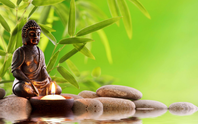 Buddha statue bamboo green background free wallpaper - medium preview image