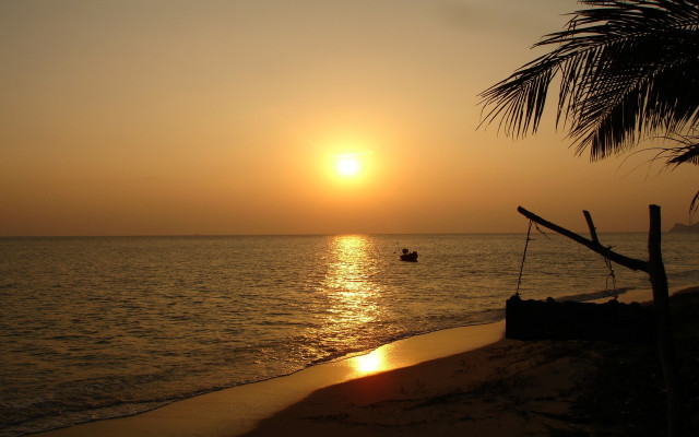 Sunset boat palm beach ocean free wallpaper - medium preview image