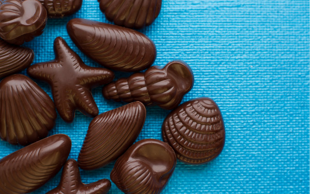 Chocolate sea shells blue towel free wallpaper - medium preview image
