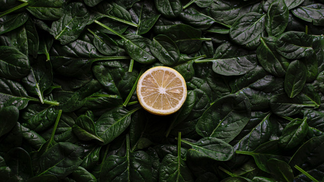 Lemon leaves pile green nature free wallpaper - medium preview image