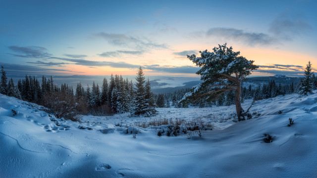 Snowy landscape tree sunset clouds free wallpaper for desktop - medium preview image