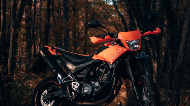 Motorcycle woods person night outdoors free wallpaper - medium preview image