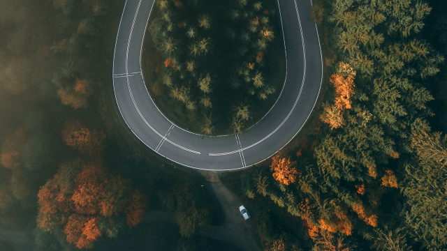 Curved road forest car autumn free wallpaper - medium preview image