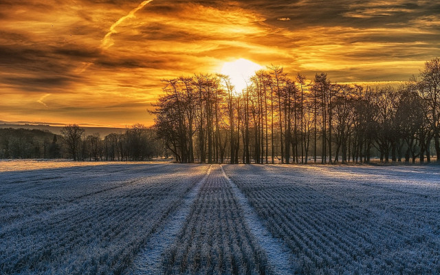 Snowy trees sunset clouds reflection free wallpaper - medium preview image