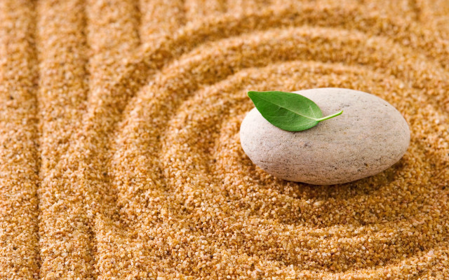 Rock leaf sand garden spiral free wallpaper - medium preview image