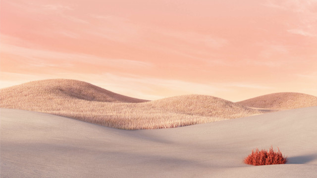 Desert lone tree pink sky free wallpaper - medium preview image