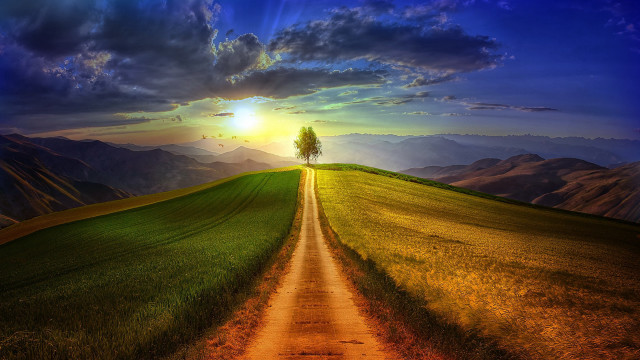 Dirt road green field lone #4 free wallpaper - medium preview image